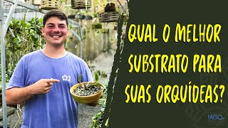 QUAL O MELHOR SUBSTRATO PARA MINHAS ORQUÍDEAS?