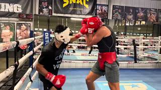 280 pound heavyweight sparring 154 rgba boxing