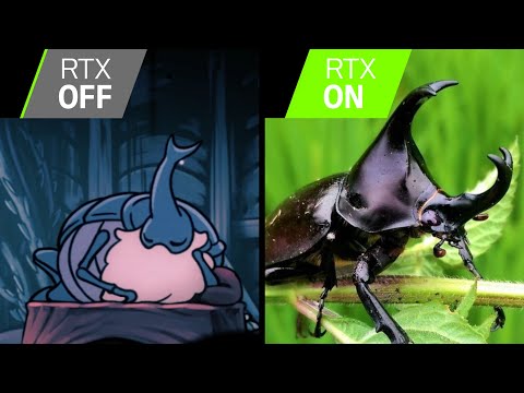 What kind of bug is the hollow Knight?