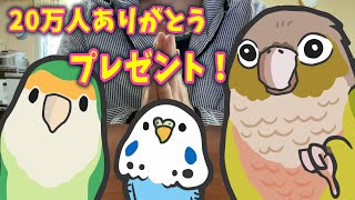 【プレゼント企画】インコのおもちゃプレゼント 10名様！