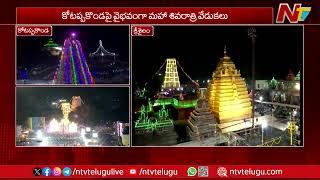 వైభవంగా మహా శివరాత్రి వేడుకలు |  Maha Shivratri Celebrations  | Ntv