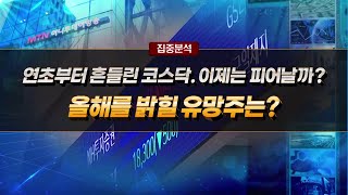 [집중분석] 연초부터 흔들린 코스닥. 이제는 피어날까? 올해를 밝힐 유망주는? / 머니투데이방송 (증시, 증권)