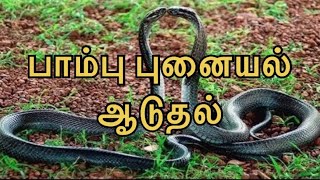 🐍 பாம்பு புனையல் ஆடுதல் பார்த்தால் 💥Funny Singers Reels | Alaparaikal Don't Skip 🤩This  Video| Wat