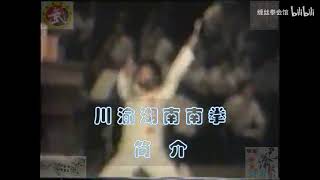 巴渝武術典藏（十九）川渝湖南南拳簡介 #martialarts #kungfu