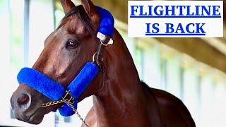 FLIGHTLINE IS BACK! 🇺🇸🐴🐴🐴 Metropolitan Handicap 2022 Contenders