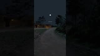 Beautiful Moon✨🤍 ||Good Night Status|| Nature Whatsapp Status Video|| #moonlight#viralvideo#4k#viral
