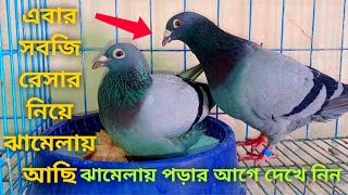 এবার সবজি রেসার নিয়ে বিপদে পড়লাম। জেনে নিন সমস্যা এবং সমাধান।