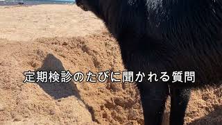 プリンスエドワード島の生活。たかがオッパイされどオッパイ