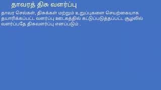 12 வகுப்பு -பாடம் 5 : தாவரத் திசு வளர்ப்பு