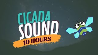 Cicada Sound and Cicadas Noise for Sleep (10 Hours)
