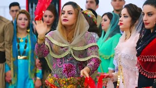 عروسی کردی هلپرکی گریان 2024 | Best kurdish dance 2024