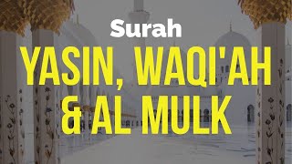 Yasin Waqiah Al Mulk