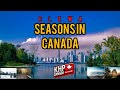 Canada's 4 Seasons Explained (With FOOTAGE)