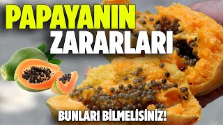 Papayanın Zararları Nelerdir? - Pratik Bilgi Bankası