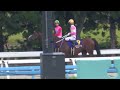 【白山大賞典2023】本馬場入場 現地映像 ウィルソンテソーロ