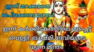 കർക്കിടകത്തിലെ മുപ്പെട്ട് വെള്ളി|സാമ്പത്തിക അഭിവൃദ്ധിക്കായി ഇന്ന് ഇങ്ങനെ ചെയ്യൂ#Mahalakshmi Manthra#