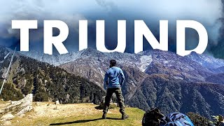 Triund Trek || Chandigarh to Triund || Budget Trek for Beginners ||