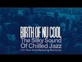 Best Acid Jazz - Nu Cool Lounge Chillout Relaxing Music 2 Hours n.s.