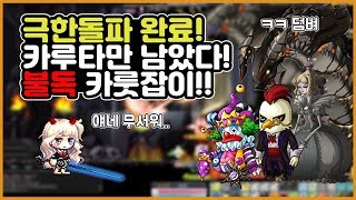 [메이플 컵튜브] 극돌 완료후 목표달성! 불독 카룻잡이!! (feat. 템셋,코강상태)