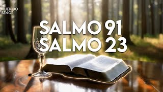 SALMO 23 \u0026 SALMO 91: ¡Las dos oraciones más poderosas de la biblia!