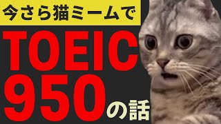 【猫ミーム】新年の挨拶ついでにTOEIC950を取ったお話