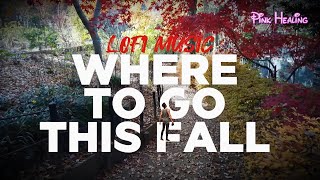 🍁 8 Hours Relaxing Lofi Music 🎵 (Fall Travel)