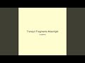 Tranquil Fragments Moonlight