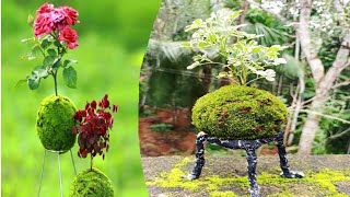 How to Make Kokedama/പായൽ പന്തുകൾ ഒരു ജപ്പാനീസ് കലാവിരുത്/art Lover by craft