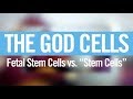 Fetal Stem Cells vs. other Stem Cells - 