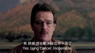 絕命毒師-Walter White Breaking Bad-Walter White (中文字幕)