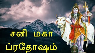 மகா பிரதோஷம் - சிறப்பு பாடல் | Pradosham Lord Shiva Devotional | சனிவார பிரதோஷம்