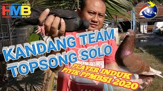 #HMBKANDANG | TEAM TOPSONG KLATEN | PLAYER INDUK MERPATI BALAP SPRINT | BURUNG JUARA NASIONAL PPMBSI