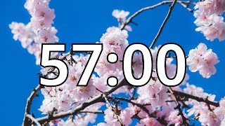 57 Minutes Timer with Music | Cherry Blossom Timer