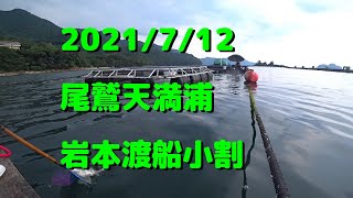 2021/7/12尾鷲天満浦　岩本渡船　小割（チヌかかり釣り）