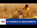 LEY ÓMNIBUS I Preocupación por los cambios propuestos en la ley para el medioambiente