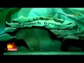 Conch Bay Tamil Dubbed Carton Show Kalaignar Chithiram TV Part 1