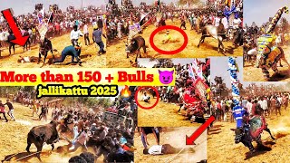 ஜல்லிக்கட்டு 🔥😈 jallikattu 2025 | B.Muduganapalli