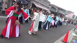 チャリティよさこい in 草加 総踊り - シャケサンバ