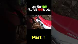 初心者が林道行ったら悲惨だったpart1　#shorts