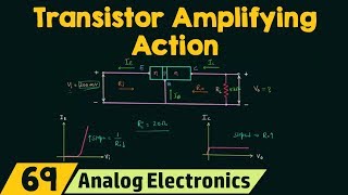 Transistor Amplifying Action