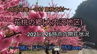 埼玉 東秩父村 花桃の郷 2021.3.26時点の開花状況🌺 ドライブver.