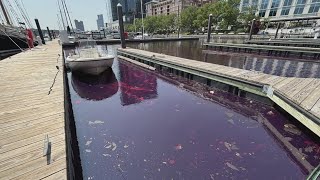 Fuel spill at Baltimore's Inner Harbor