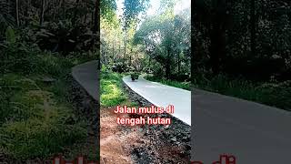 Jalan mulus di tengah hutan @RannaVlog2 #shorts #suasanapedesaan