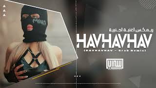 Onlar Arkadan Havlarlar (Srab Remix) HAVHAVHAV | ريمكس اغنية اجنبية - رارا رارا