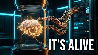 The End of Silicon: Why Human Brain Cells Are the Future of Computing