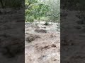 thirumoorthy hills at rainy season panjalingam temple thirumoorthy malai udumalpet itsmejeevitha