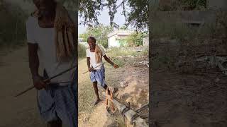 మా తాత జాబ్ చేస్తాడు మా ఉర్లో🙏#trending#villagelife#vlogs#shorts#viralvideos#love#nature#comedy#bgm