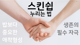 스킨십의 긍정적 효과와 중요성ㅣ스킨십이 중요한 이유ㅣ스킨십의 순서와 방법 (육아, 연애, 인간관계 명언, 심리학)