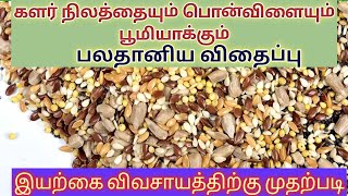 பலதானிய விதைப்பு/ இயற்கை விவசாயம்/Palathaniya Vithaipu /How to improve soil / Multi grain Showing..