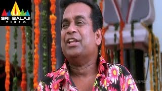 Pallakilo Pellikuthuru Movie Brahmi and Bharani Comedy | Gowtam, Rathi | Sri Balaji Video